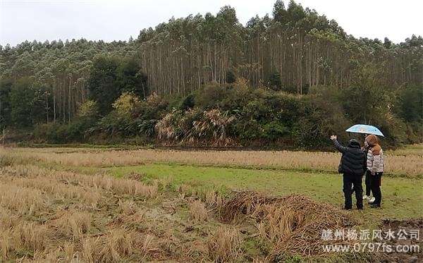 长宁区陈老师带着爱徒寻龙点穴